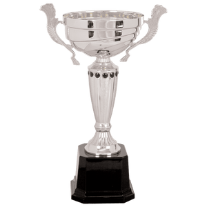 Silver 2 13" Completed Metal Cup Trophy on Plastic Base