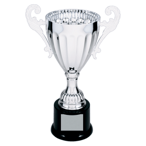 Silver 9 3/4" Completed Metal Cup Trophy on Plastic Base