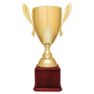 Gold Completed Metal Cup Trophy on Rosewood Royal 2 22" Piano Finish Base