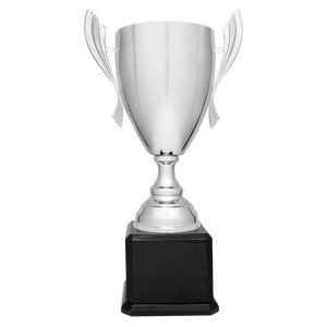 Silver Completed Metal Cup Trophy on Black Royal 2 22" Piano Finish Base