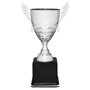 Silver Completed Metal Cup Trophy on Black Royal 23 1/2" Piano Finish Base