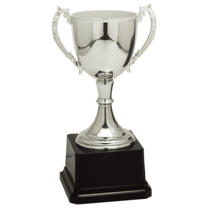 Silver 8 3/4" Completed Zinc Cup Trophy