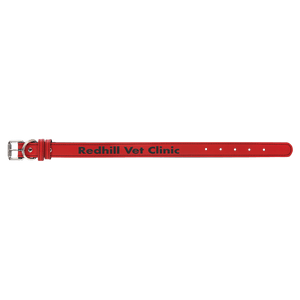 Red Medium 19" x 1" Laserable Leatherette Dog Collar