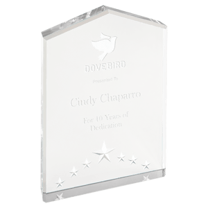 Silver 7" Star Point Acrylic