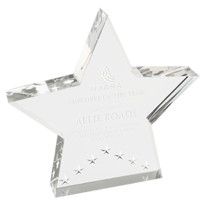 Silver 6" Star Performer Acrylic