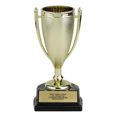 06-1/2 INCH PLASTIC TROPHY CUP