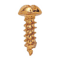 1/4 INCH #2 BRASS SCREW 100 PC