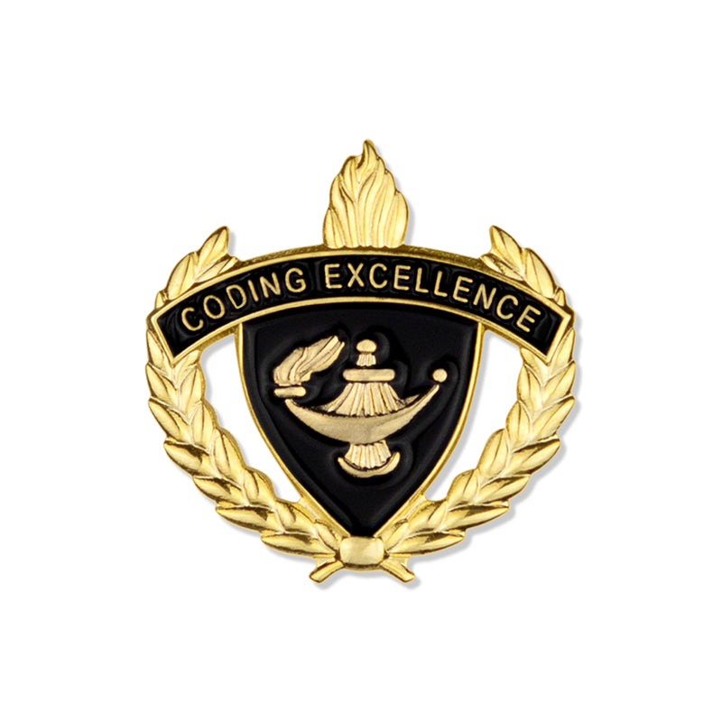 1 INCH WREATH WITH LAMP OF LEARNING CODING EXCELLENCE LAPEL PIN
