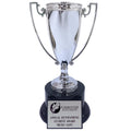 10-3/4 INCH HEIGHT DIE CAST SILVER METAL CUP TROPHY ON BLACK BASE