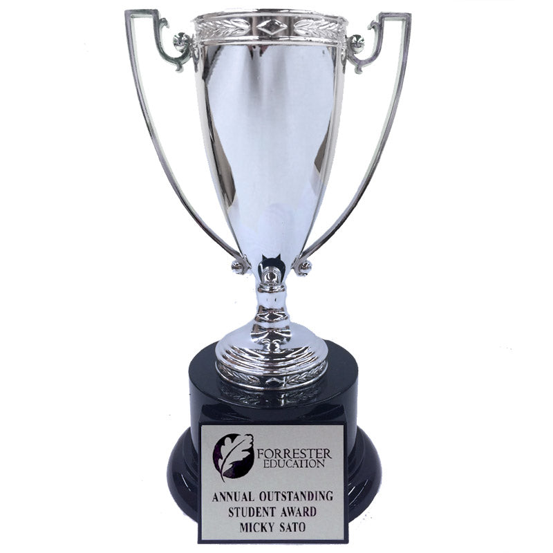 10-3/4 INCH HEIGHT DIE CAST SILVER METAL CUP TROPHY ON BLACK BASE