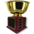10 INCH DIAMETER GOLD BOWL PERPETUAL TROPHY COMES WITH 24 NAME PLATES