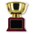 10 INCH DIAMETER GOLD BOWL TROPHY