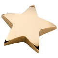 4" x 4" Gold Metal Star Paperweight