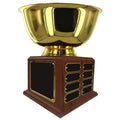 12 INCH DIAMETER GOLD BOWL PERPETUAL TROPHY COMES WITH 24 NAME PLATES