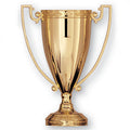 13 INCH DIE CAST GOLD CUP, NO LID