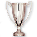 13 INCH DIE CAST SILVER CUP, NO LID