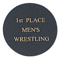 2 INCH BLACK ALUMINUM DISC