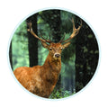 2 Inch in Diameter Round Deer Themed Insert with Mylar Detailing