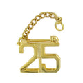 25 YEAR GUARD PIN WITH CHAIN