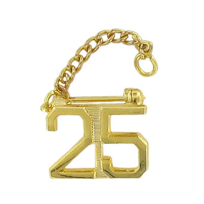 25 YEAR GUARD PIN WITH CHAIN