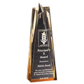 3-1/2" x 10" x 2" GOLD ACRYLIC STAR TOWER AWARD WITH GOLD REFLECTIVE BASE