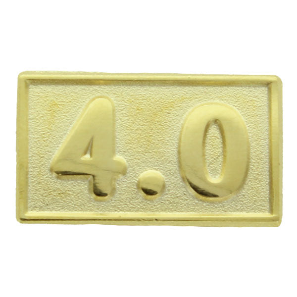 4.0 AVERAGE PIN  ACADEMIC