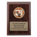 4-1/4  X  6 INCH PLAQUE WITH EMBOSSED PLATE TAKES INSERT