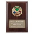 4-1/4  X  6 INCH PLAQUE WITH GOLD EMBOSSED PLATE TAKES INSERT