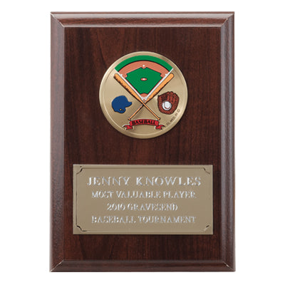 4-1/4  X  6 INCH PLAQUE WITH GOLD EMBOSSED PLATE TAKES INSERT