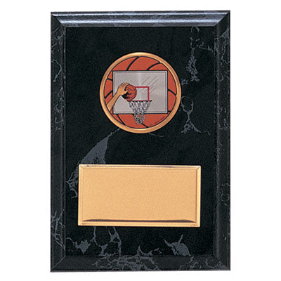 4-1/4 X 6 INCH PLAQUE WITH 2 INCH MEDALLION INSERT AND BRASS PLATE