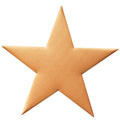4 INCH SATIN BRASS SHAPE STAR