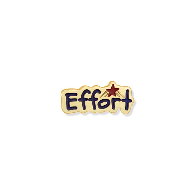 5/8 INCH MERIT LAPEL PIN