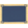 5 X 7 BLUE SCREENED PLATE