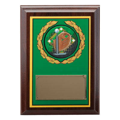 5 X 7 INCH GREEN DIGITAL PHOTO PLAQUE WITH GOLD ALUMINUM ENGRAVING PLATE TAKES MYLAR MYLAR