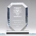 5 INCH X 7 INCH X 3/4 INCH ARROWHEAD BLUE  ACRYLIC TROPHY POLISHED BEVELED EDGES