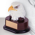6-1/2 INCH EAGLE HEAD TROPHY, HAND PAINTED