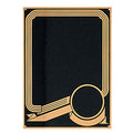 6 X 8 BLACK SCREENED PLATE