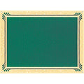 6 X 8 GREEN SCREENED PLATE