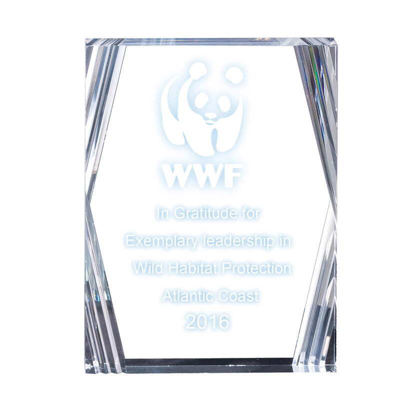6" x 8" x 7/8" INCH CORPORATE CLEAR ACRYLIC RECTANGLE AWARD BEVELED CUT CORNERS