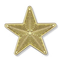 7/8 INCH BRIGHT GOLD 3D TEXTURED STAR LAPEL PIN