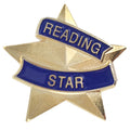 7/8 INCH READING STAR LAPEL PIN