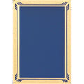7 X 10 BLUE SCREENED PLATE