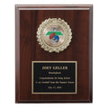7 X 9 INCH PLAQUE WITH BLACK PLATE TAKES INSERT