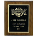 7 X 9 INCH PLAQUE WITH BLACK SCREENED PLATE