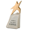 8-1/2 X 4-1/2 INCH RISING STAR TROPHY
