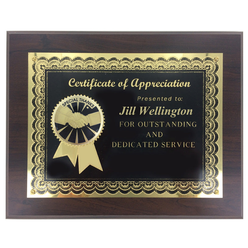 8 INCH X 10 INCH CERTIFICATE OF APPRECIATION PLAQUE SPECIAL THANKS WITH 2 INCH ETCHED ENAMEL INSERT