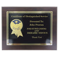 8 INCH x 10 INCH DISTINGUISHED SERVICE AWARD PLAQUE 2 INCH ETCHED BRASS INSERT SERVICE IS OUR PASSION