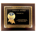 8 X 10 INCH DISTINGUISHED SERVICE AWARD PLAQUE WITH 2 INCH ETCHED ENAMEL BRASS MEDALLION