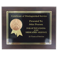 8 INCH x 10 INCH HANDSHAKE AND STAR PLAQUE 2 INCH STAMPED MEDALLION INSERT
