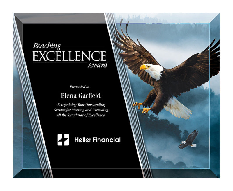 8 X 10 INCH EAGLE GLASS PLAQUE WITH BEVELED EDGE